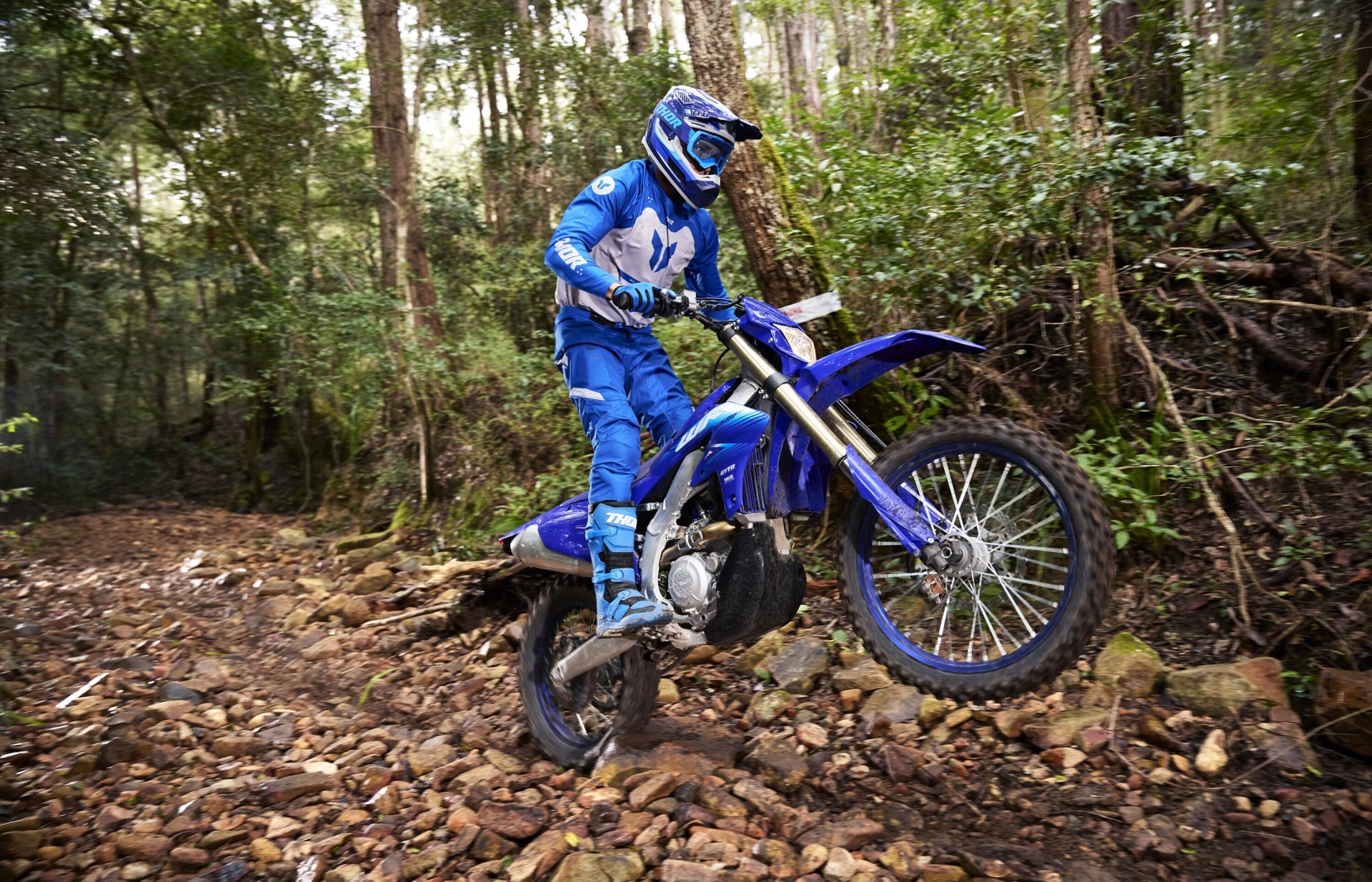 Cold nights pack loose earth into hero dirt, in September up north and December in Florida: the first few hours of the day are the ones to ride.