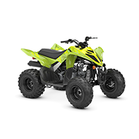 RAPTOR 110