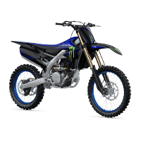 YZ250F