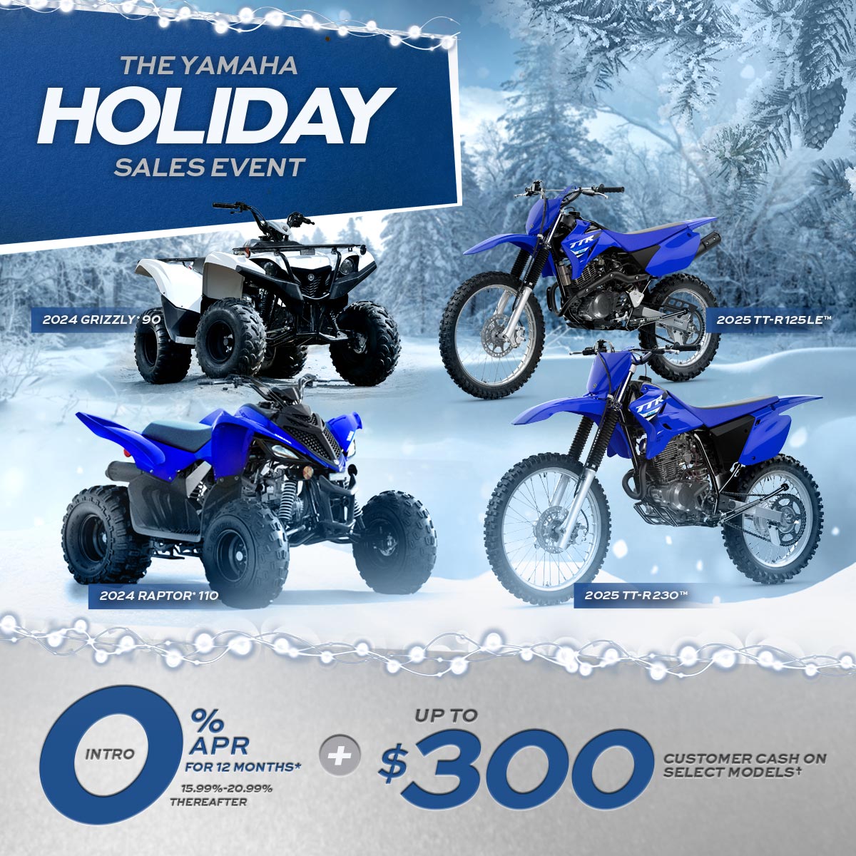 YOUTH HOLIDAY SALES EVENT - AS LOW AS 0% APR FOR 12 MONTHS PLUS UP TO $300 CUSTOMER CASH