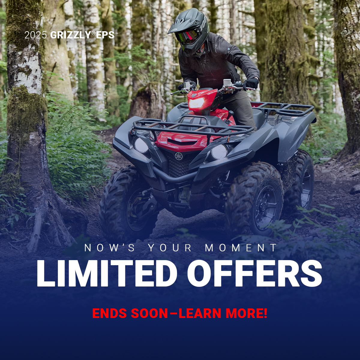 LET'S RIDE ATV - AS LOW AS 5.99% APR FOR 36 MONTHS PLUS UP TO $1,250 CUSTOMER CASH ON SELECT MODELS