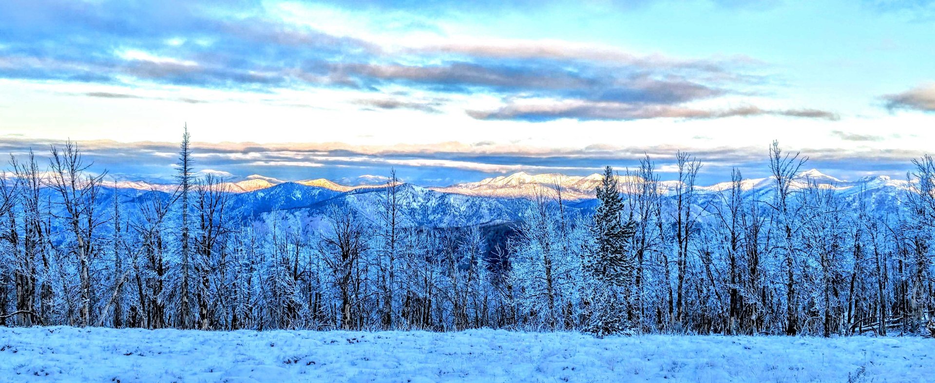 Wild Idaho Hunt & Ride Image 0