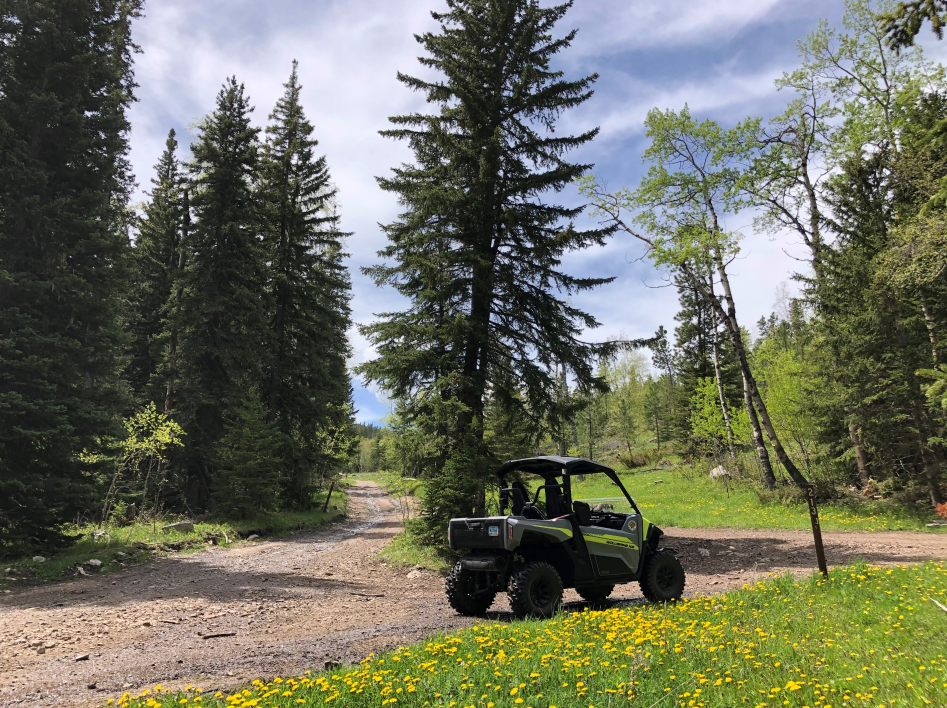 Mount Rushmore KOA Resort at Palmer Gulch Image 0
