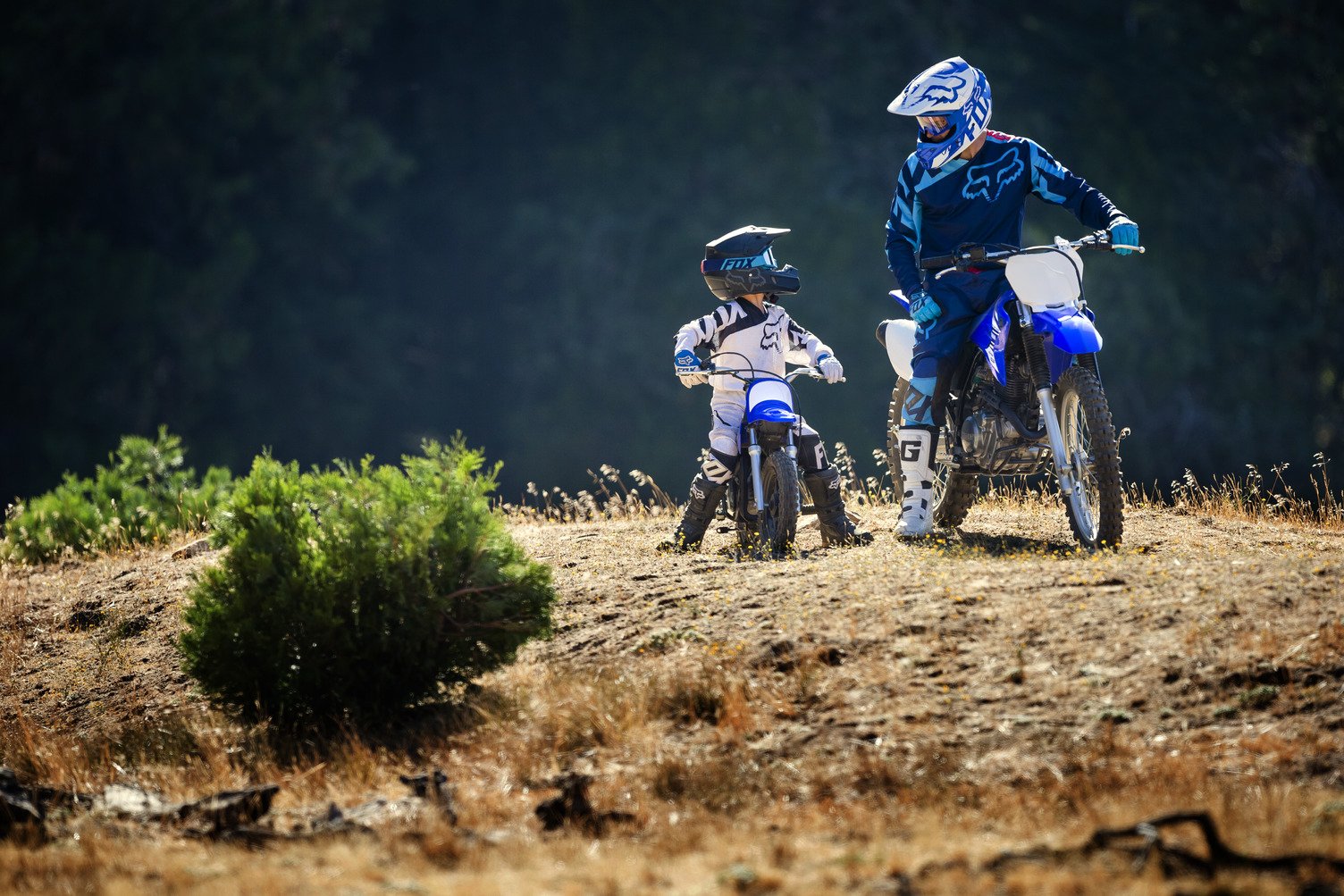 Motorcycle Tracks & Trails Image 0