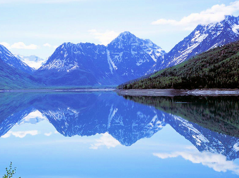 Alaska Backcountry ATV Tour Image 0