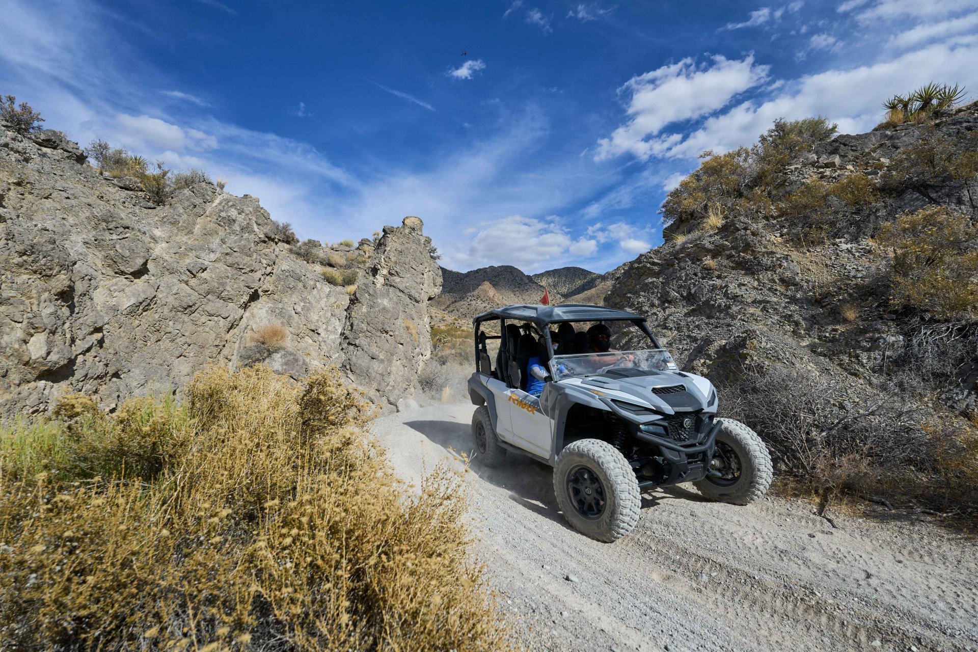 Tour of the Mojave Desert Image 1