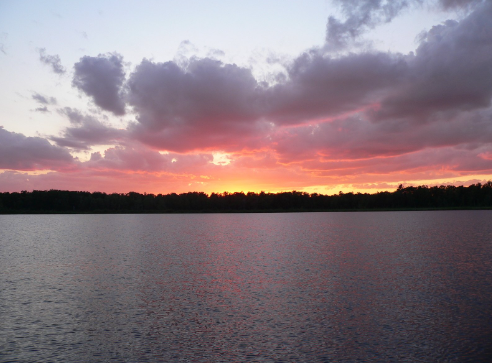 Explore St. Helen Image 0