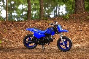 PW50 Beauty 1