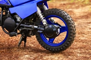 PW50 Details 3