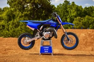 YZ65 Beauty 3