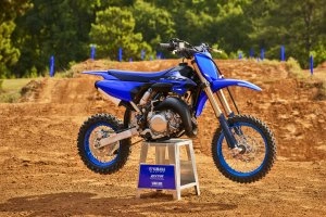 YZ65 Beauty 2