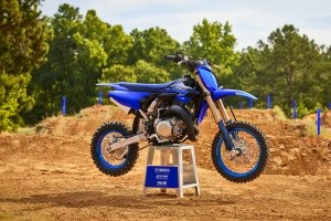 YZ65 Beauty 1