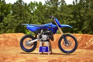 YZ85LW Beauty 1