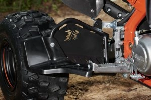 RAPTOR 700R SE Details 9